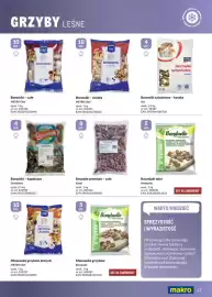 Makro gazetka Strona 17