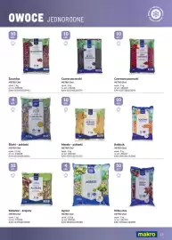 Makro gazetka Strona 19