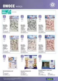 Makro gazetka Strona 39