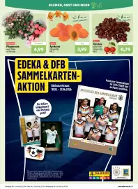 Aktiv Irma Prospekt woche 21 Seite 3