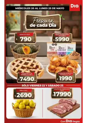 Folleto Supermercados DIA (válido hasta 25-05)