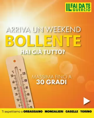Il Fai Da Te Guercio (valido fino al 27-05)