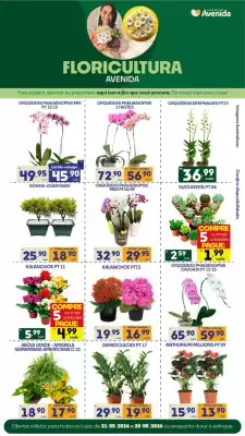 Catálogo Supermercados Avenida (válido até 28-05)