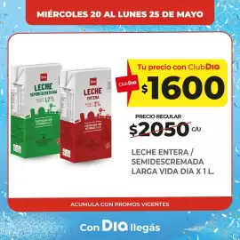 Folleto Supermercados DIA Página 2