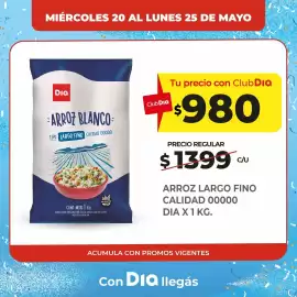 Folleto Supermercados DIA Página 3