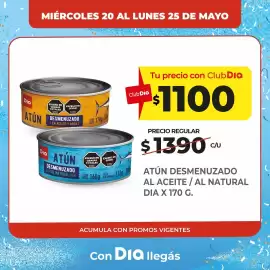 Folleto Supermercados DIA Página 4
