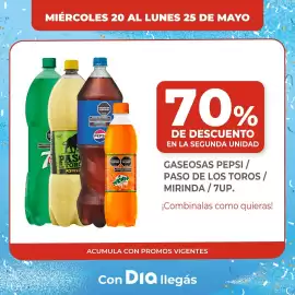 Folleto Supermercados DIA Página 7