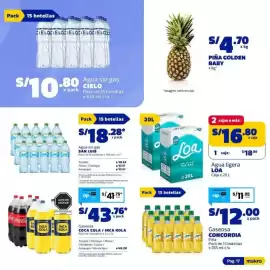 Catálogo Makro Página 17