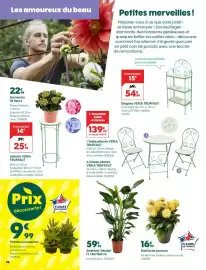 Catalogue Truffaut page 6