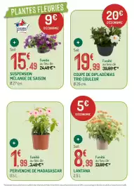 Catalogue Botanic page 2