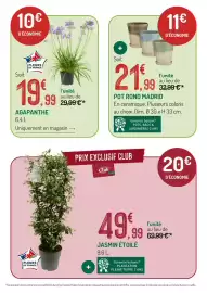 Catalogue Botanic page 4