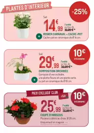 Catalogue Botanic page 7