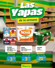 Catálogo Mayorsa Página 1