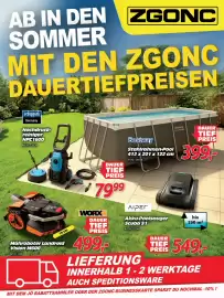 Zgonc Flugblatt Seite 1