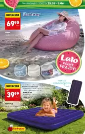 Biedronka gazetka Strona 24