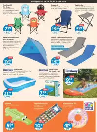 V Markt Prospekt woche 22 Seite 19