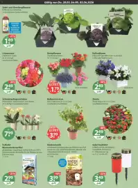 V Markt Prospekt woche 22 Seite 20