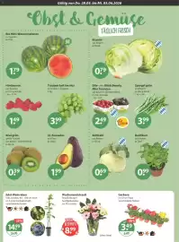 V Markt Prospekt woche 22 Seite 4