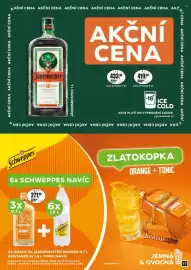 Adam leták Strana 17