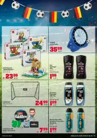 Selgros Prospekt Seite 15