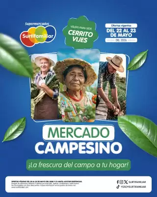 Surtifamiliar (válido hasta 23-05)