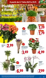 Folheto Lidl semana 22 Página 35