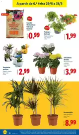 Folheto Lidl semana 22 Página 36