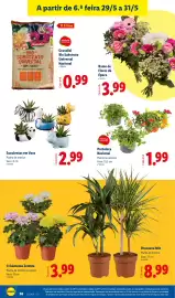 Folheto Lidl semana 22 Página 36