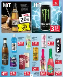 Selgros gazetka Strona 22