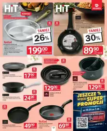 Selgros gazetka Strona 19