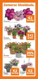 Albert Heijn folder week 22 Pagina 34
