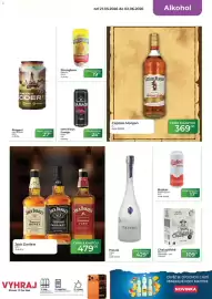 Tamda Foods leták týden 22 Strana 17