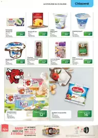 Tamda Foods leták týden 22 Strana 21