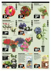 V Baumarkt Prospekt woche 22 Seite 2