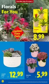 Lidl weekly ad week 22 Page 30