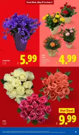 Lidl weekly ad week 22 Page 31