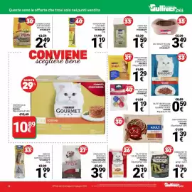 Volantino Supermercati Gulliver Pagina 36