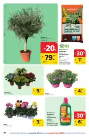 Carrefour folder Pagina 36