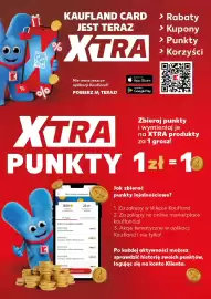 Kaufland gazetka Strona 10
