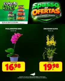 Folheto Spasso Sabores Página 2