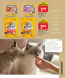 Biedronka gazetka Strona 23