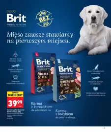 Biedronka gazetka Strona 7