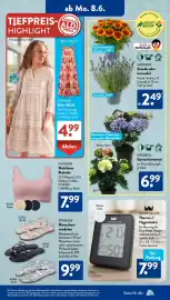Aldi Süd Prospekt woche 24 Seite 6