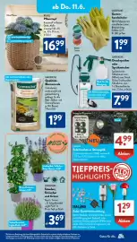 Aldi Süd Prospekt woche 24 Seite 8