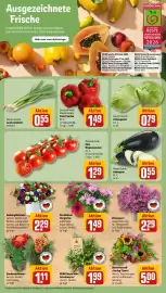 REWE Prospekt woche 22 Seite 7