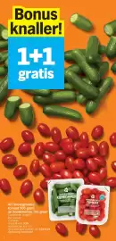 Albert Heijn folder week 22 Pagina 2
