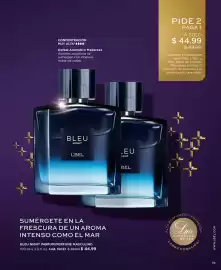 Catálogo L'bel Página 19