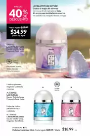 Catálogo AVON Página 100