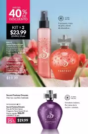 Catálogo AVON Página 102