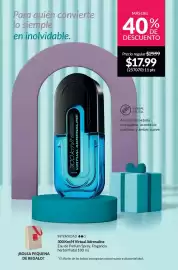 Catálogo AVON Página 17